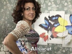 Alisacat Hardcore Sex Gif