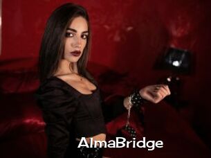 AlmaBridge