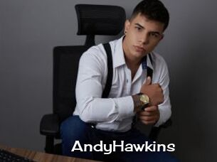 AndyHawkins