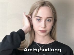 Amitybudlong