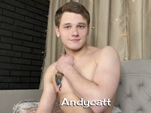 Andycatt