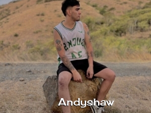 Andyshaw