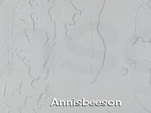 Annisbeeson