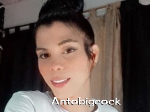 Antobigcock