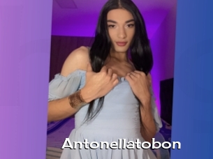 Antonellatobon