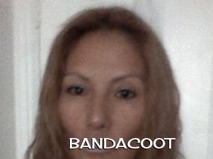 BANDACOOT