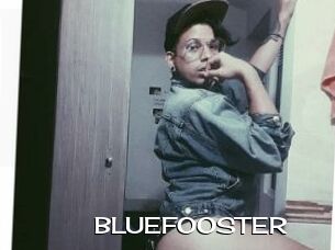 BLUEFOOSTER