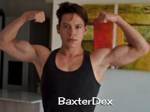 BaxterDex