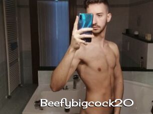 Beefybigcock20