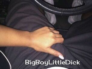 BigBoyLittleDick