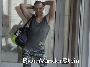 BjornVanderStein