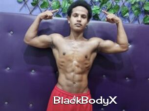 BlackBodyX