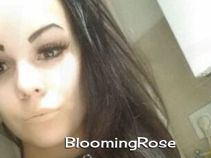 Blooming_Rose