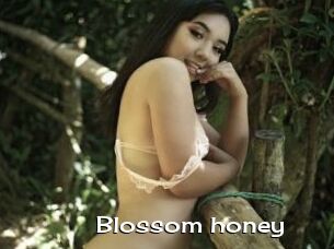 Blossom_honey