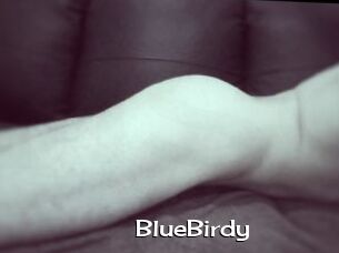 BlueBirdy