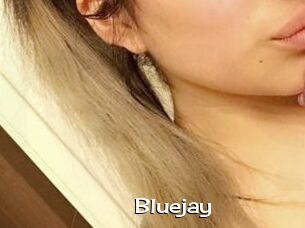 Blue_jay