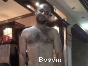 Bosom