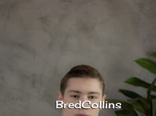 BredCollins