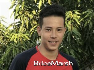 BriceMarsh