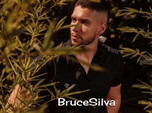 BruceSilva