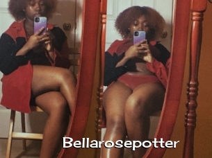 Bellarosepotter