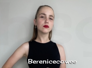 Berenicecowee