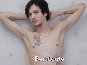 Bernicute