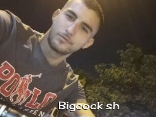 Bigcock_sh