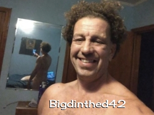 Bigdinthed42