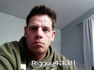 Bigguy43311