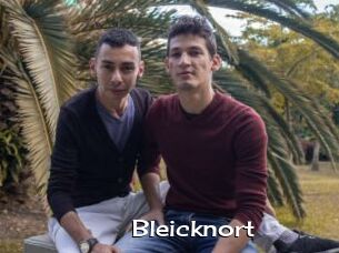 Bleicknort