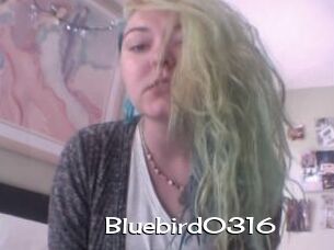 Bluebird0316