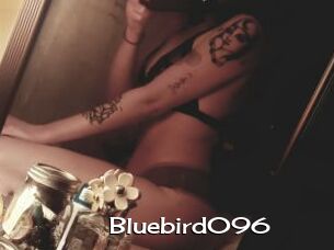 Bluebird096