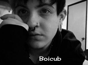 Boicub