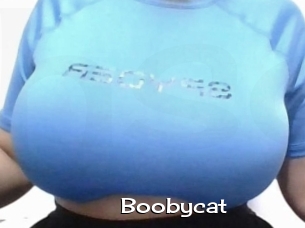 Boobycat