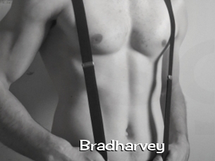 Bradharvey