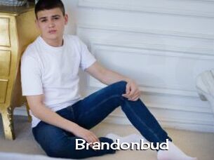 Brandonbud