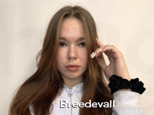 Breedevall