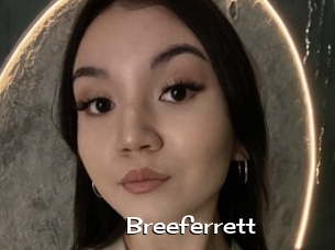 Breeferrett