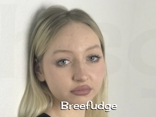 Breefudge