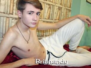 brianandy Hardcore Sex Gif