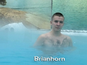 Brianhorn