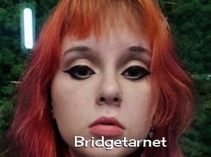 Bridgetarnet