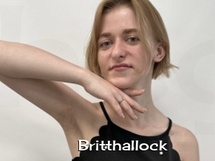 Britthallock