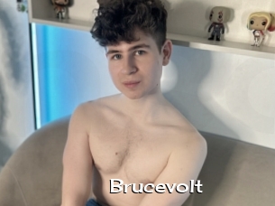 Brucevolt