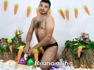 Brunosains