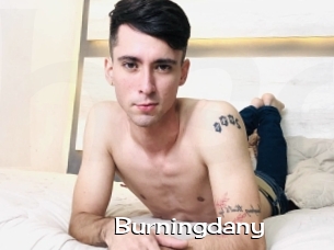 Burningdany