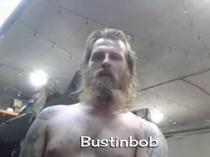 Bustinbob