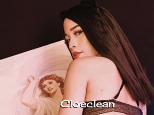 Cloeclean