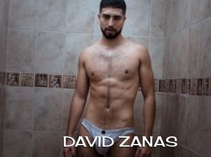 DAVID_ZANAS